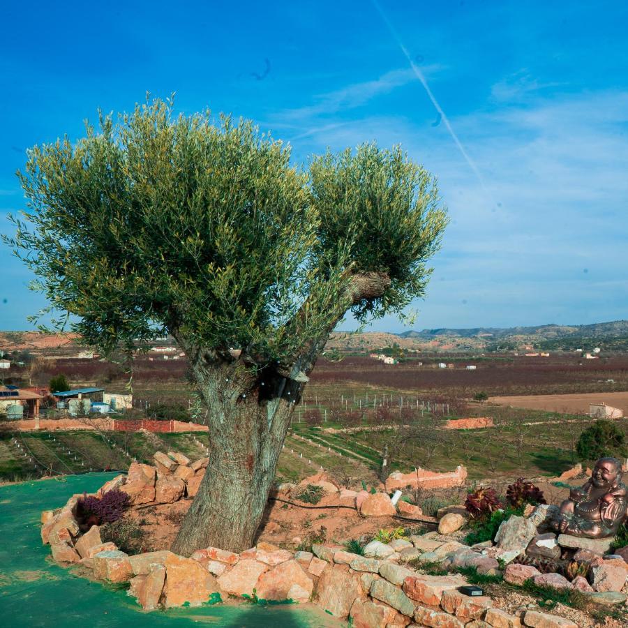 Cabezo Bunuel Alojamiento Rural Calanda Exteriér fotografie